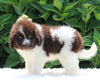 AKC Registered Newfoundland For Sale Millersburg OH Female-Rose