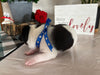 Rat Terrier For Sale Tampico IL Male-Theo