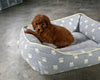 AKC Registered Mini Poodle For Sale Millersburg OH Female-Dolly