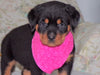 AKC Registered Rottweiler For Sale Sugarcreek, OH Female- Bella