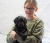 F1B Mini Labradoodle For Sale Fresno, OH Male- Oscar