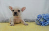 AKC Registered French Bulldog For Sale Wooster OH, Male - Devin