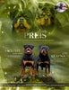 AKC Registered Rottweiler For Sale Sugarcreek, OH Female- Bella