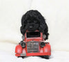 Cockapoo For Sale Millersburg, OH Female- Oreo