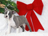 AKC Registered Boston Terrier For Sale Warsaw, OH Female Elsa