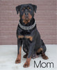 AKC Registered Rottweiler For Sale Sugarcreek, OH Female- Bella