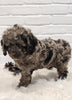 Cockapoo For Sale Dundee OH Male-Dixon