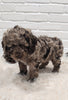Cockapoo For Sale Dundee OH Male-Dixon
