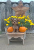 Yorkipoo For Sale Winesburg OH Female- Snickers