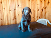 AKC Registered Silver Labrador Retriever For Sale Fredericksburg, OH Female- Tisha