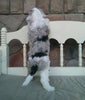 Mini Sheepadoodle For Sale Holmesville, OH Female- Willow
