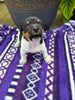 Rat Terrier For Sale Tampico IL Male-Cody