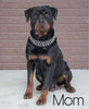 AKC Registered Rottweiler For Sale Sugarcreek, OH Female - Jasper