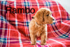 Mini Labradoodle For Sale Fresno OH Male-Rambo