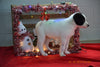 Border Collie - Norwegian Elkhound Mix Puppy For Sale Female Sally Apple Creek, Ohio