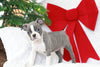AKC Registered Boston Terrier For Sale Warsaw, OH Female Elsa