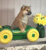 AKC Registered Shiba Inu For Sale Dundee, OH Male- Toby