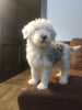 Mini Sheepadoodle For Sale Holmesville, OH Male- Cash